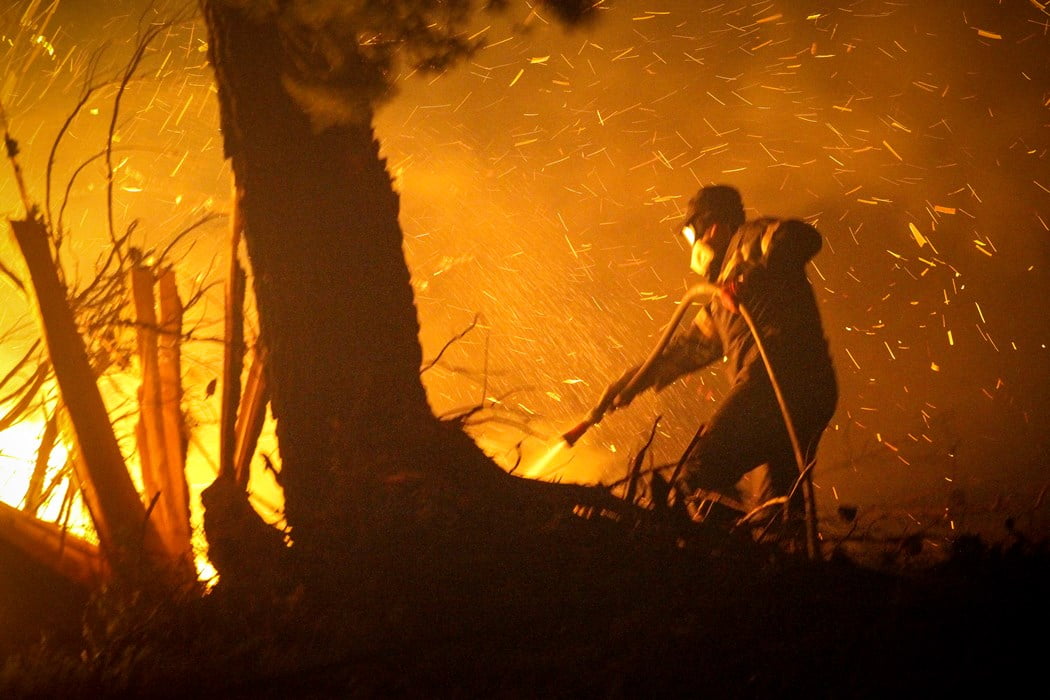 Οι φονικές πυρκαγιές του 2007 στην Ηλεία που κόστισαν τη ζωή σε 63  ανθρώπους - Newsmag