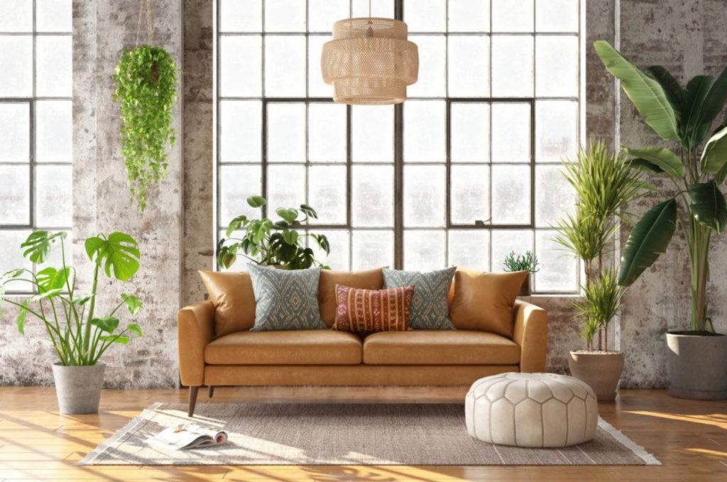 καφέ καναπές δερμάτινο φυτά πουφ